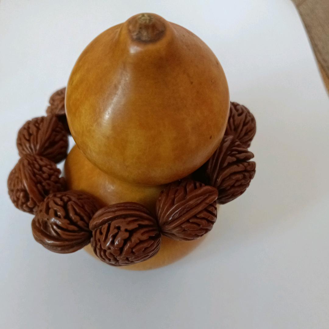专业房水