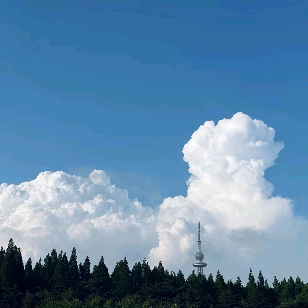 米爸爱拍照