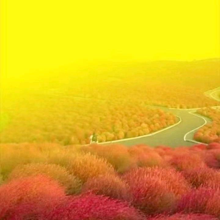 鑫烁