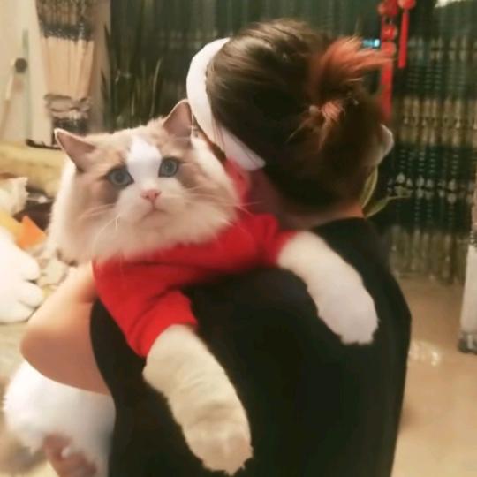 🐾娟子◕‿◕