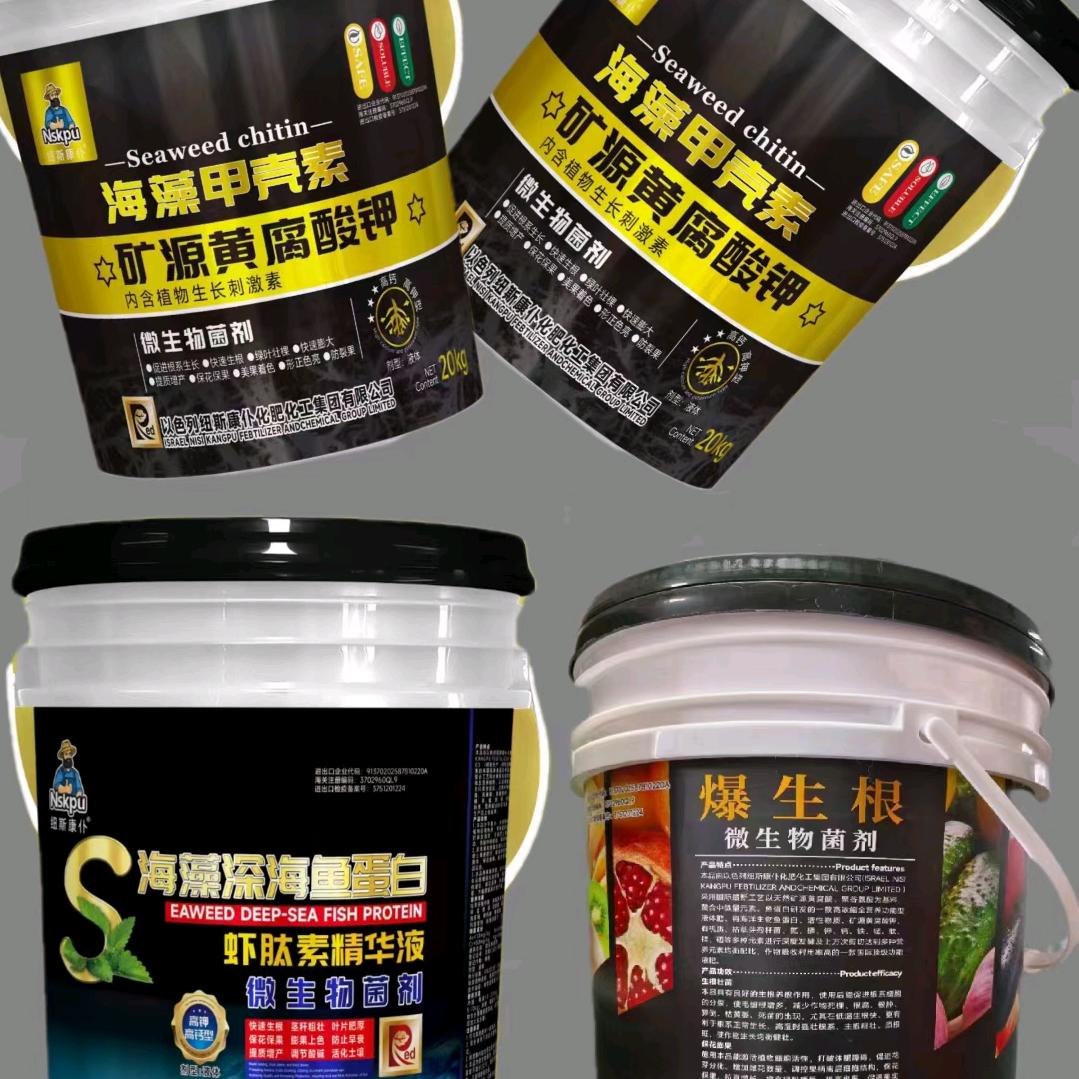 A美丽