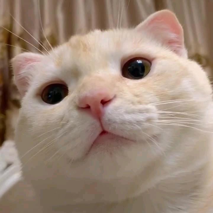 疯语🌈☀️