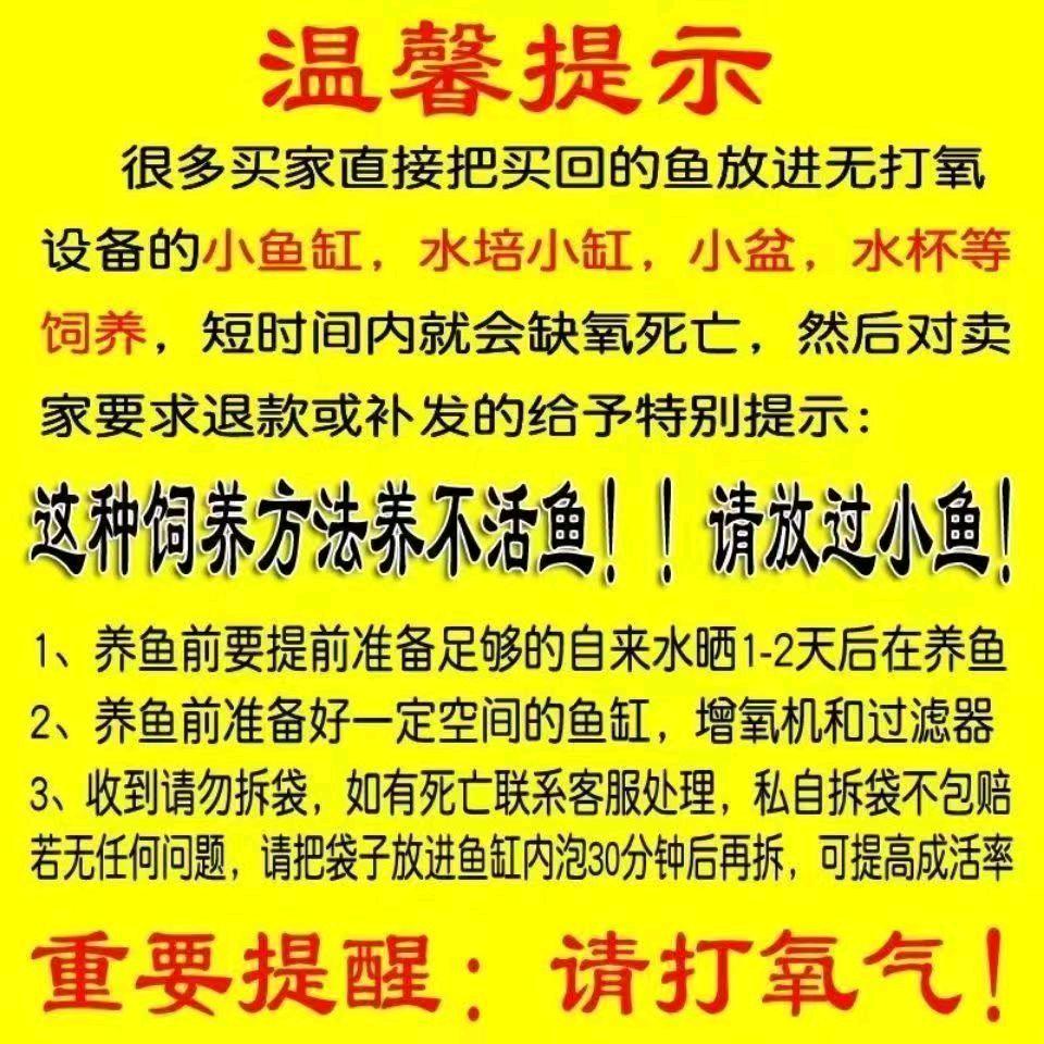 鱼多多水产小铺