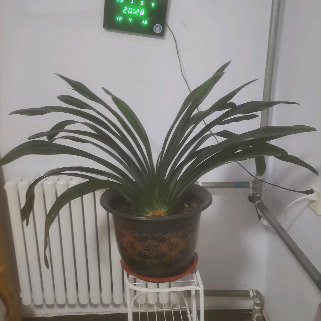 王小刚