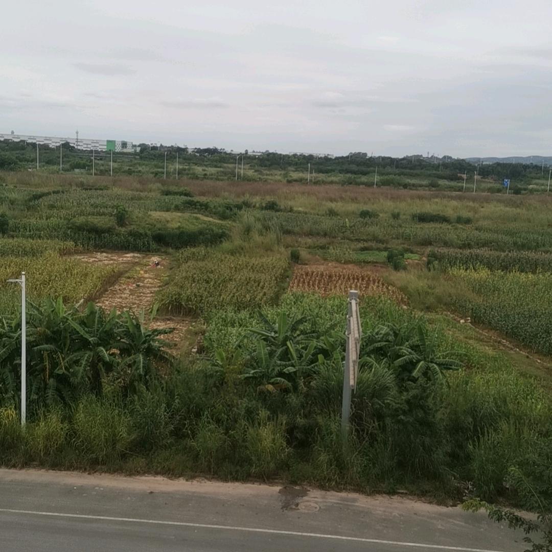 老天不会辜负你，一切等时间来证明