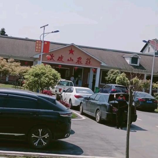 诚歌