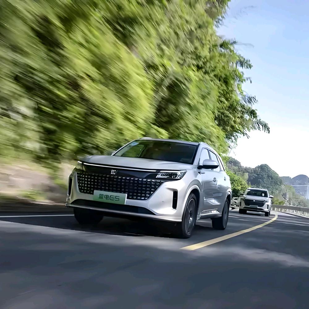 Electric Hybrid Car