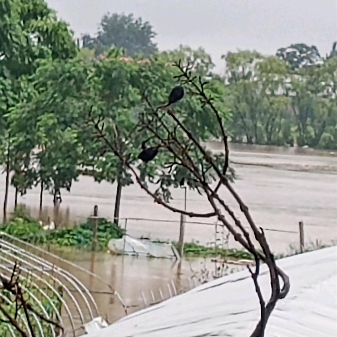 蜂具之家蜂具大全