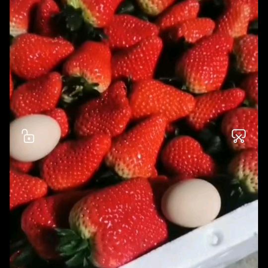 草莓🍓一一姐