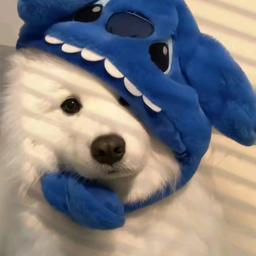 蛙趣