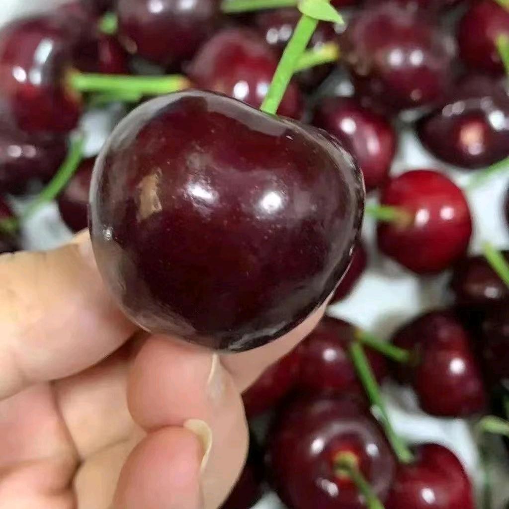 高新区万春百货超市