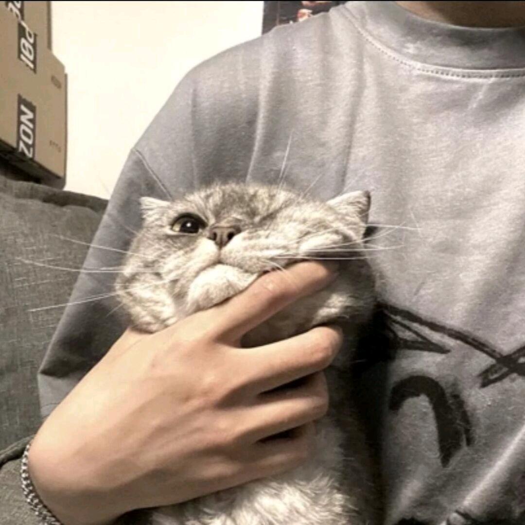 🌈十一