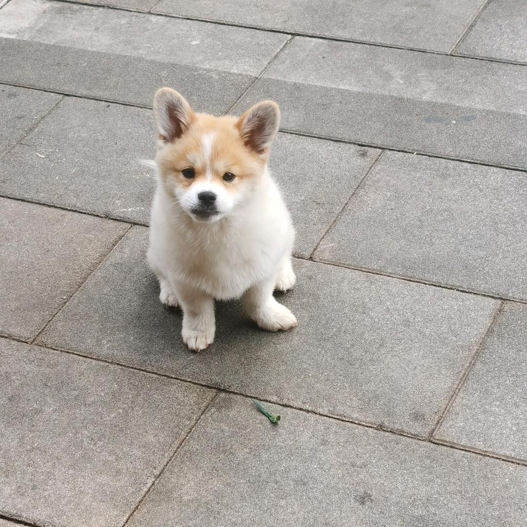 昆明彩钢瓦配件（钢构详图）