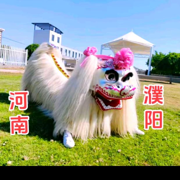 台前小白狮舞狮团