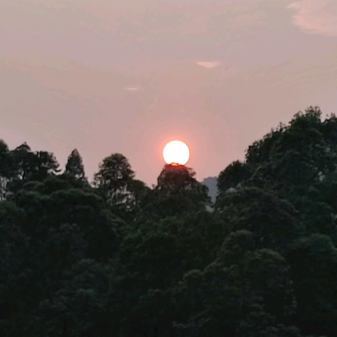 小敏