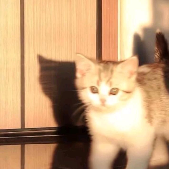 年年