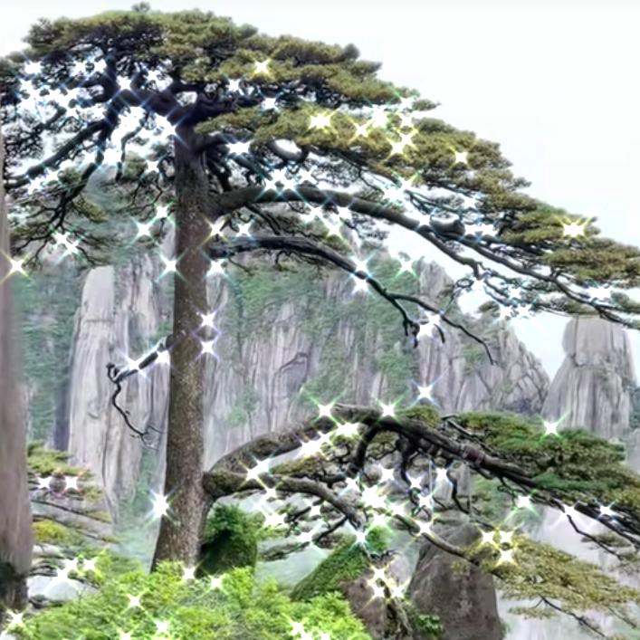 打胶日记