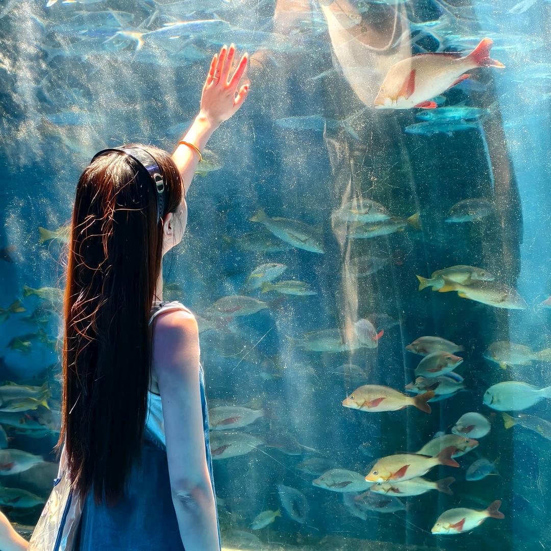 一个W 刘❤️‍🔥