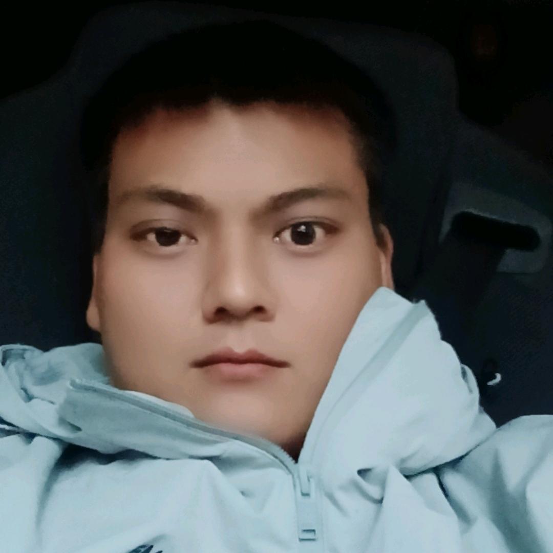 白杨。