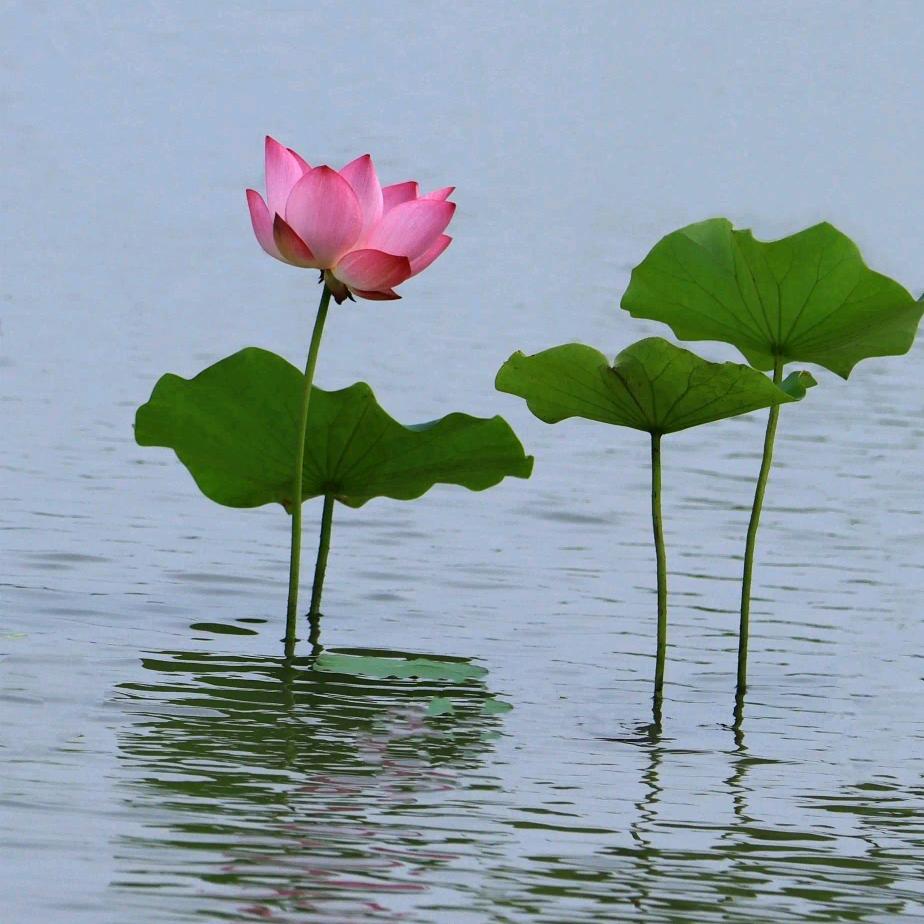 邶简兮日用百货武汉市盈仟偌潼商贸商行（个人独资）