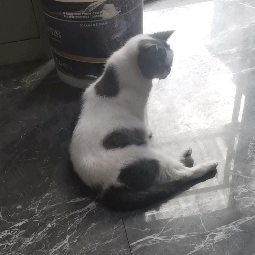 爱唱小臭歌