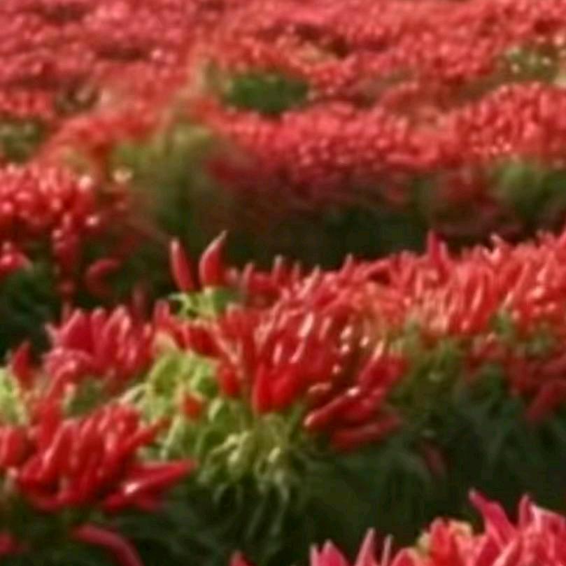 我家有个小帅哥有个小美女