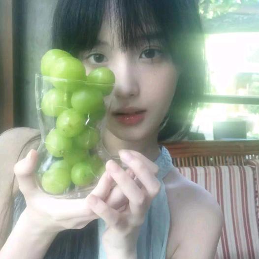 等风来-
