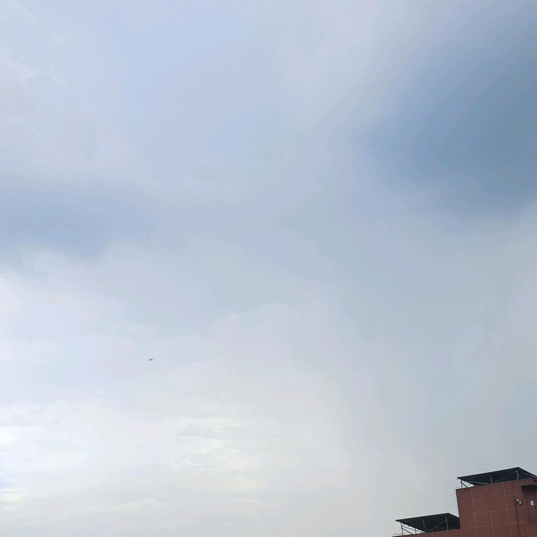 己所不欲为所欲为