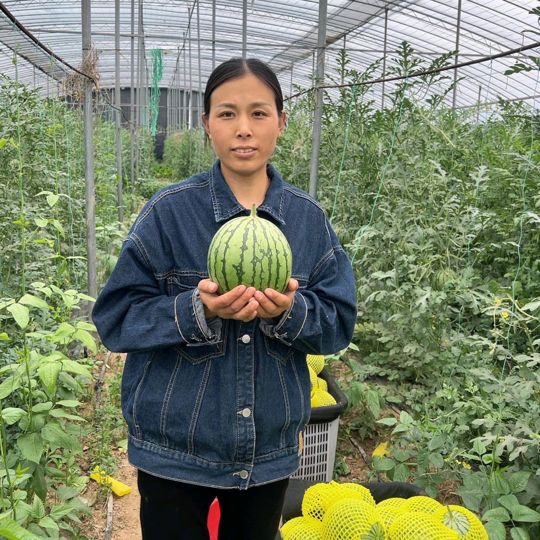 新农人艳姐（瓜果大棚）