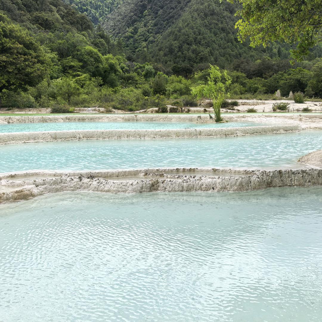 重庆的陈老师头像