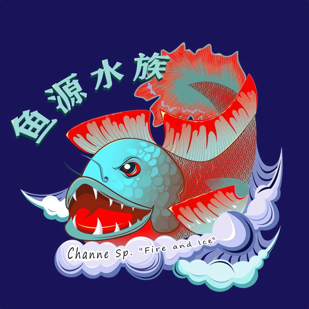 鱼源不懂龙（专做血斑）