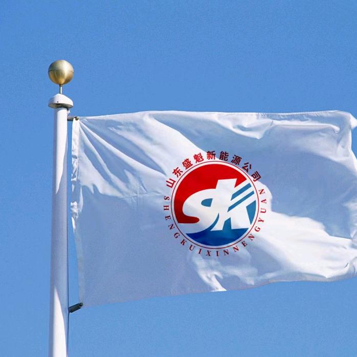 山东盛魁新能源有限公司