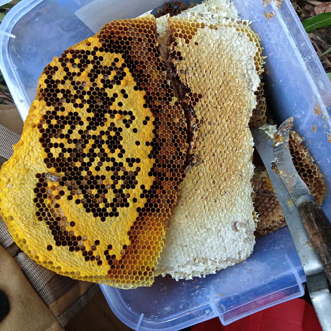 力发千钧
