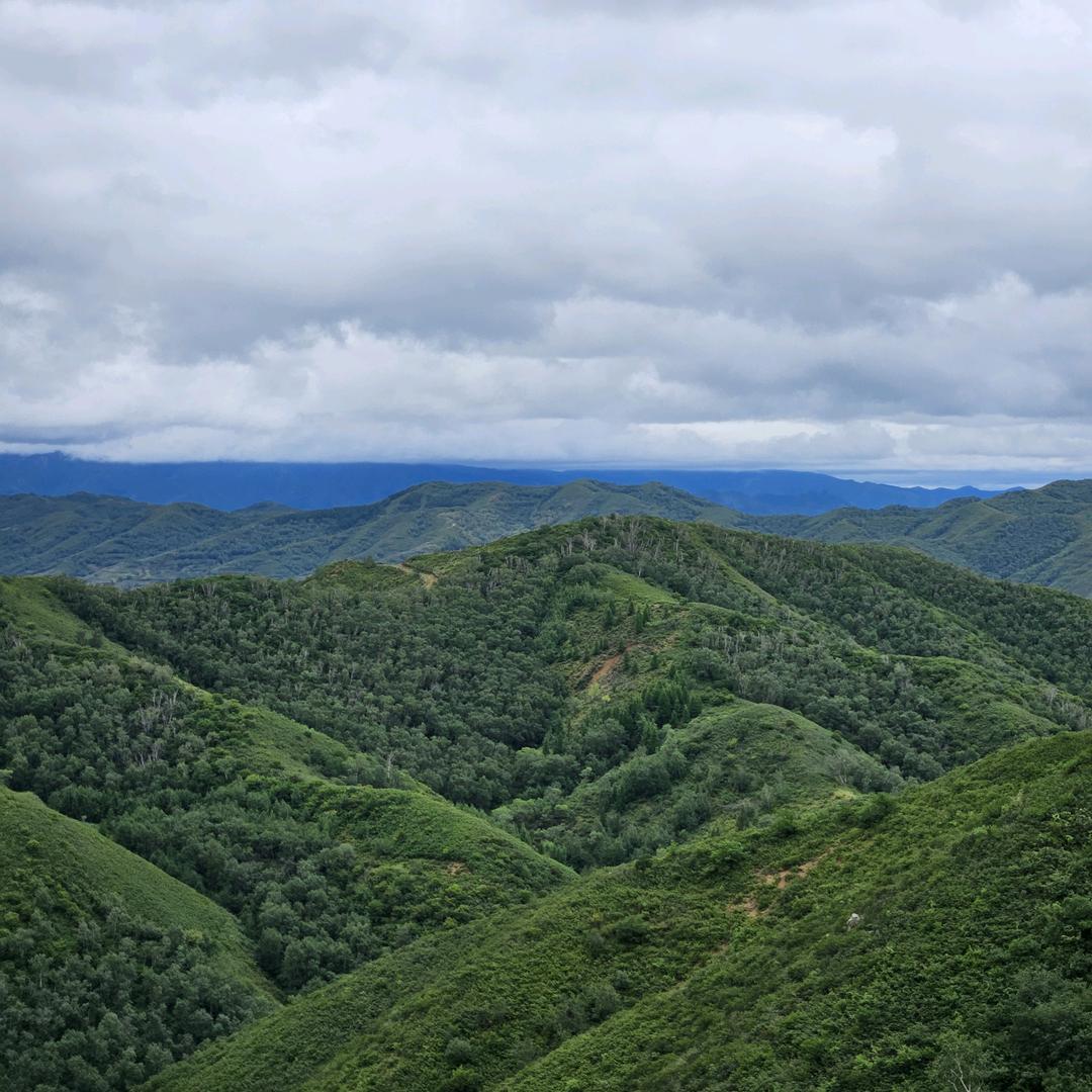 🌻人间清醒小迷糊