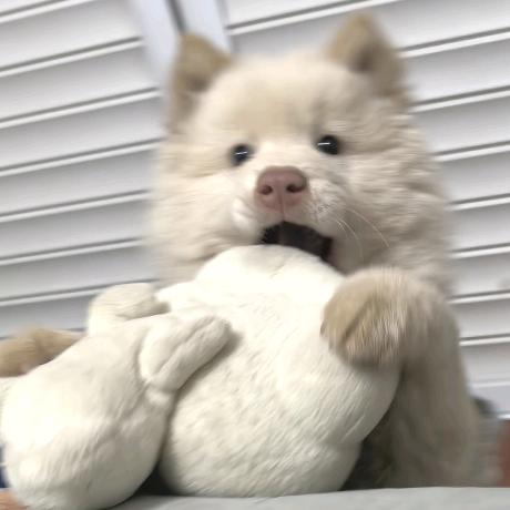 逆