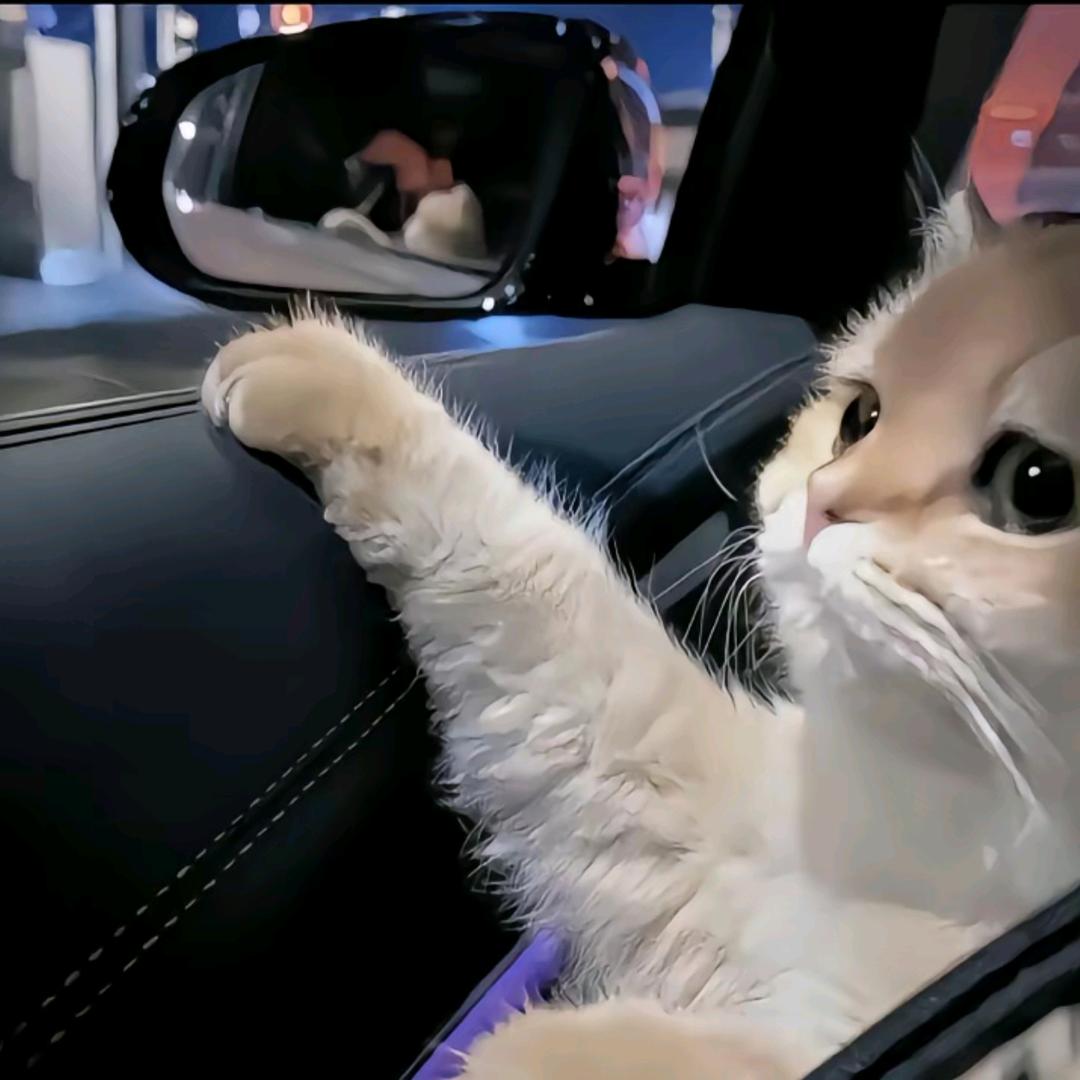 迟遇