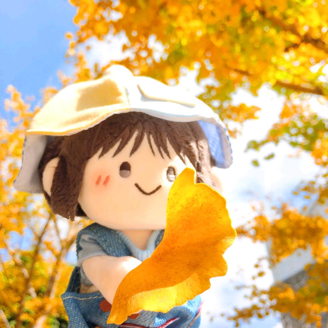 泡在水缸里的鱼