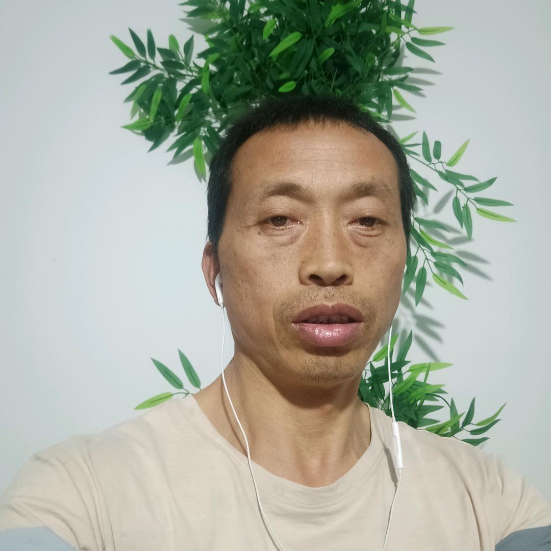 海鹅🎤伤感情歌