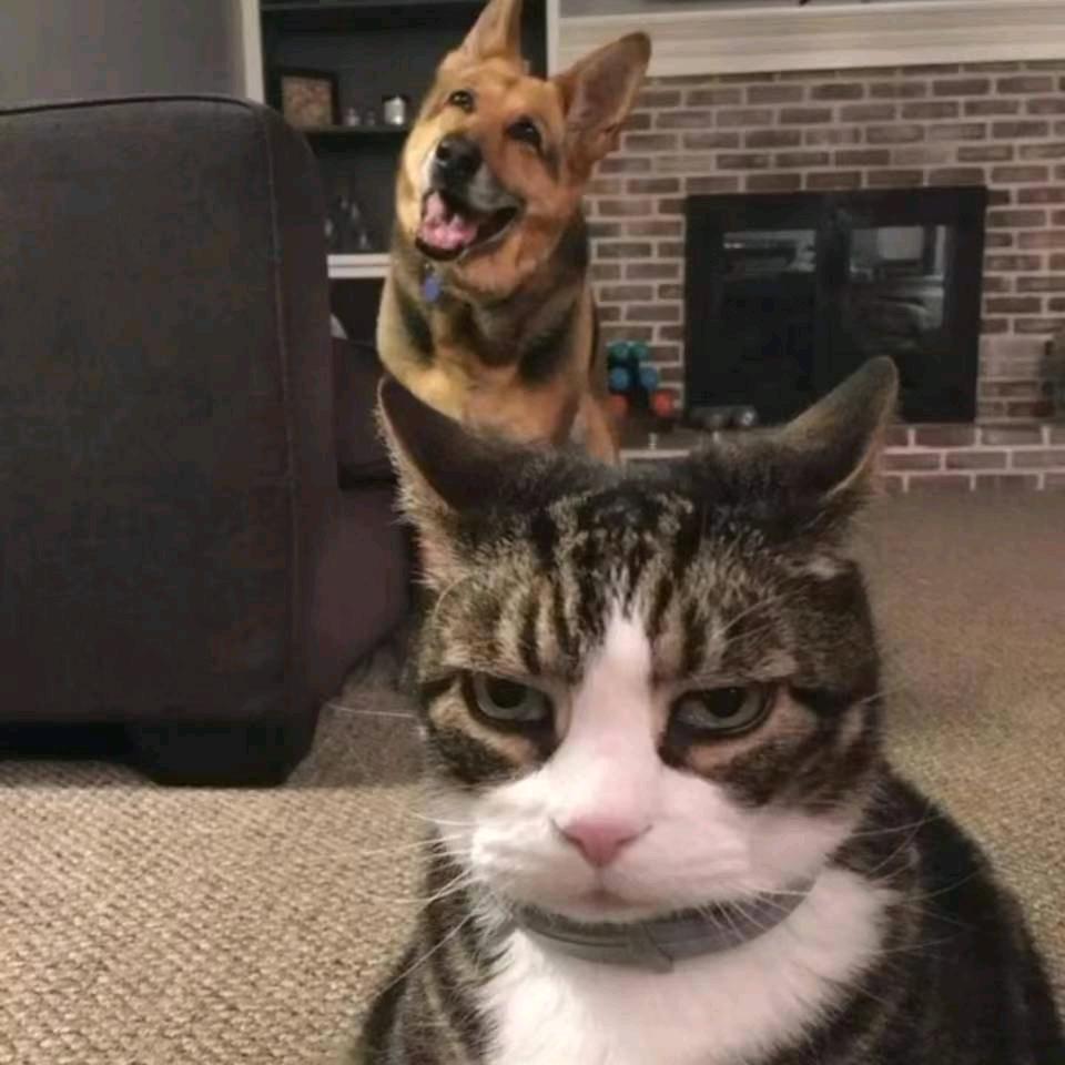 抬头拥抱阳光明媚不悲伤