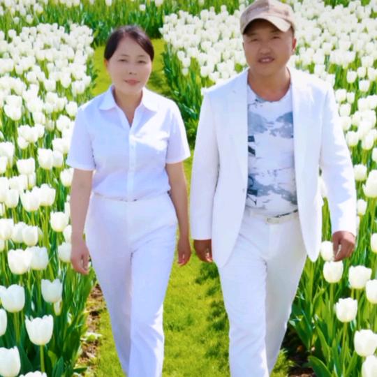 笑在脸上伤在心