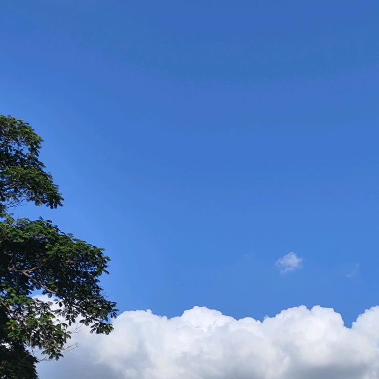 要好心情呀