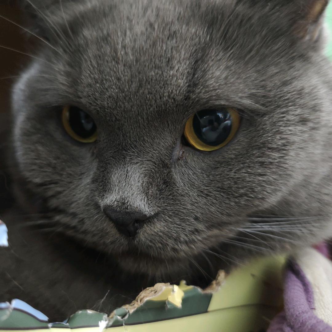 名称含有敏感词汇