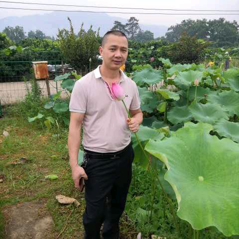 阿清