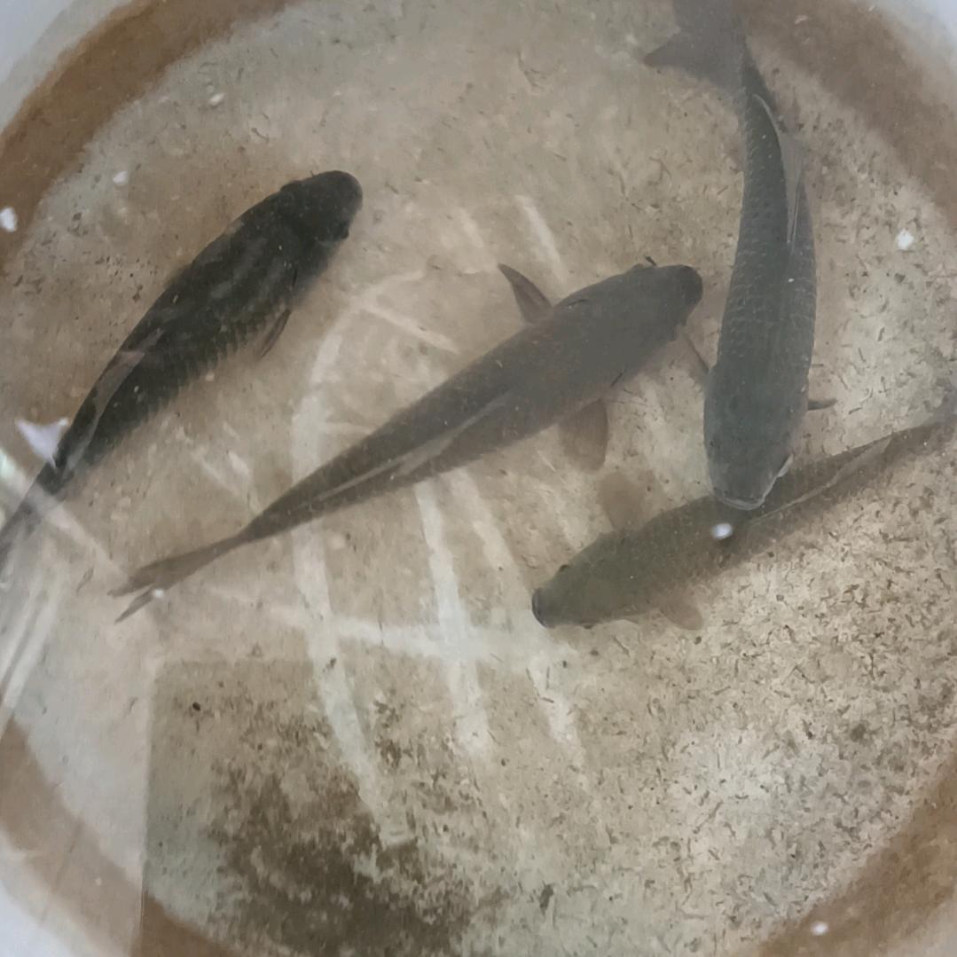 好好的过日子