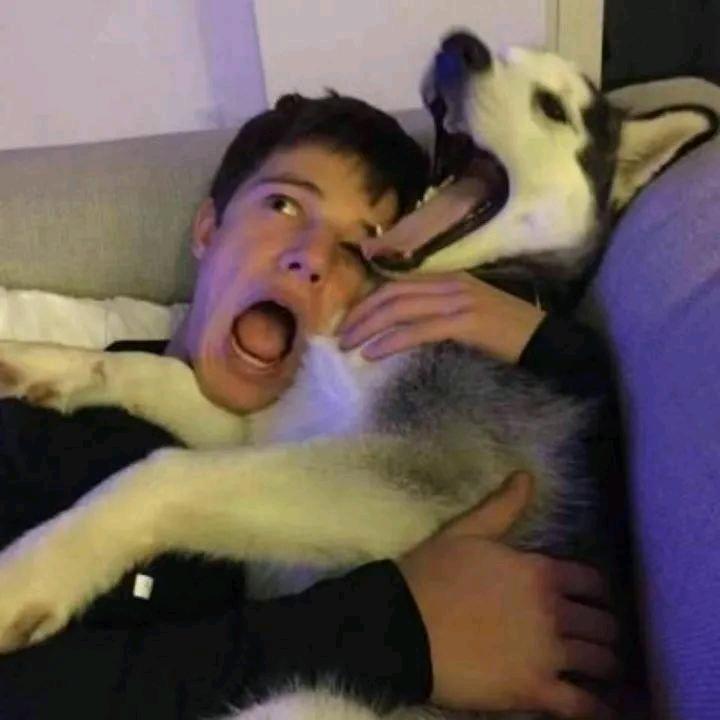 章鱼烧