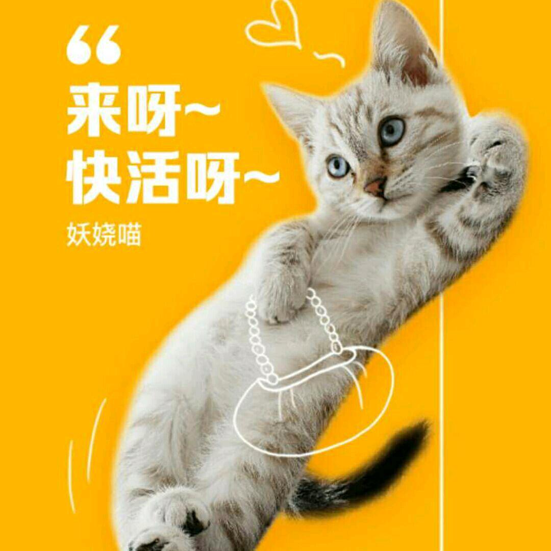 @夜猫子@
