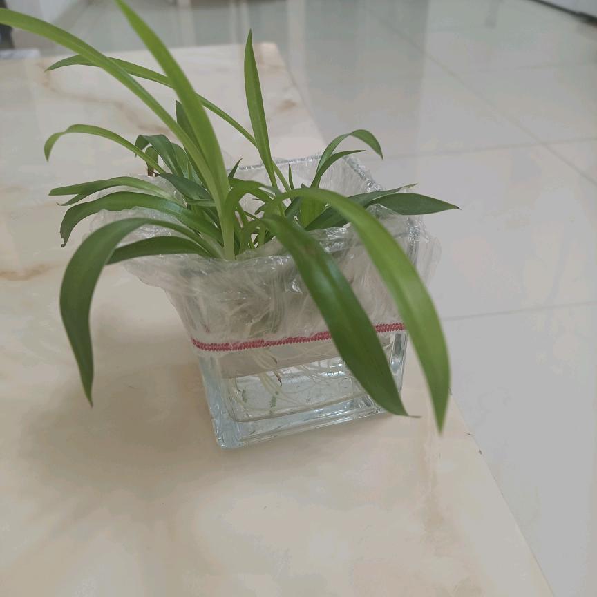 光辉