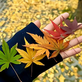 知恩