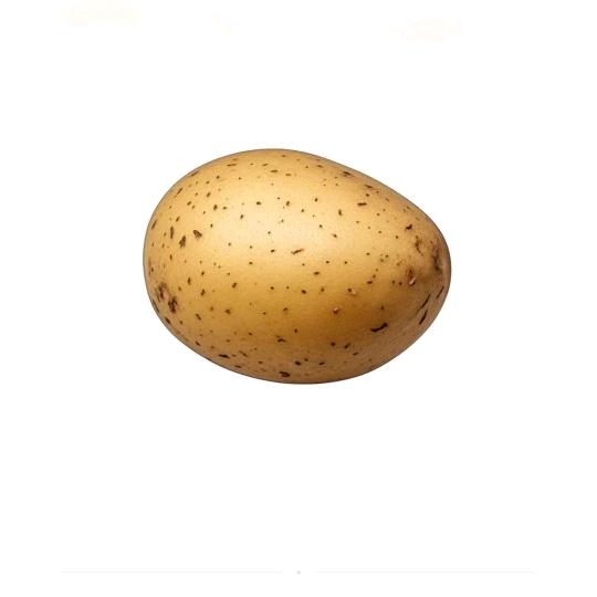 YYYYY