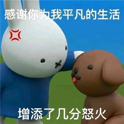 创新星（团队招人）